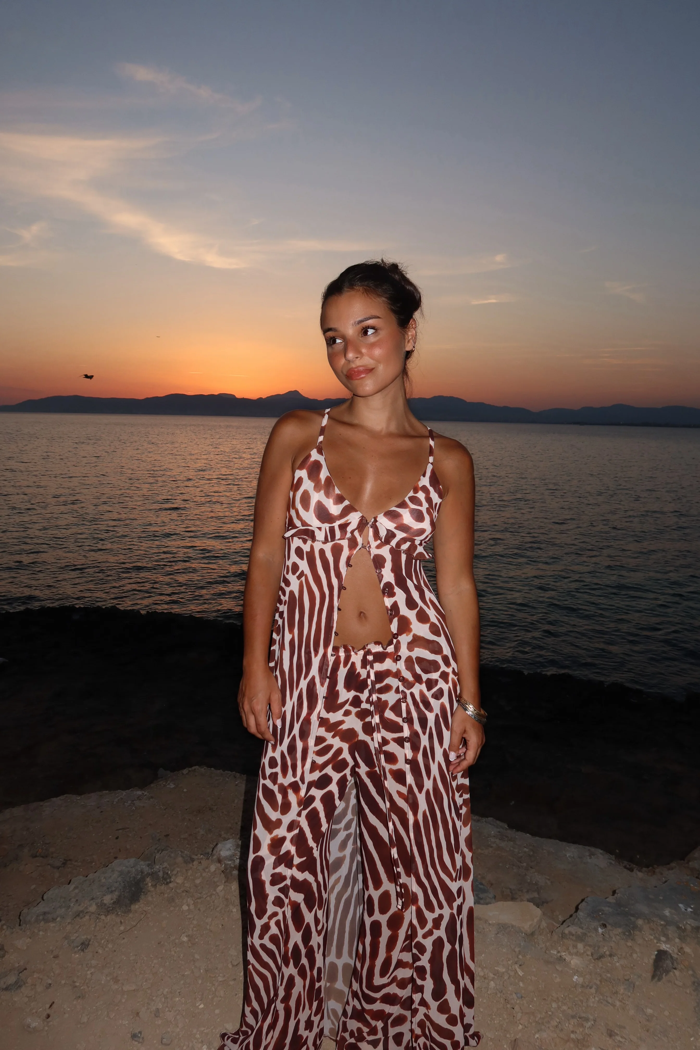 Giraffe Print Top - Shipping/Envio from 27/07 to 03/08 - Image 5