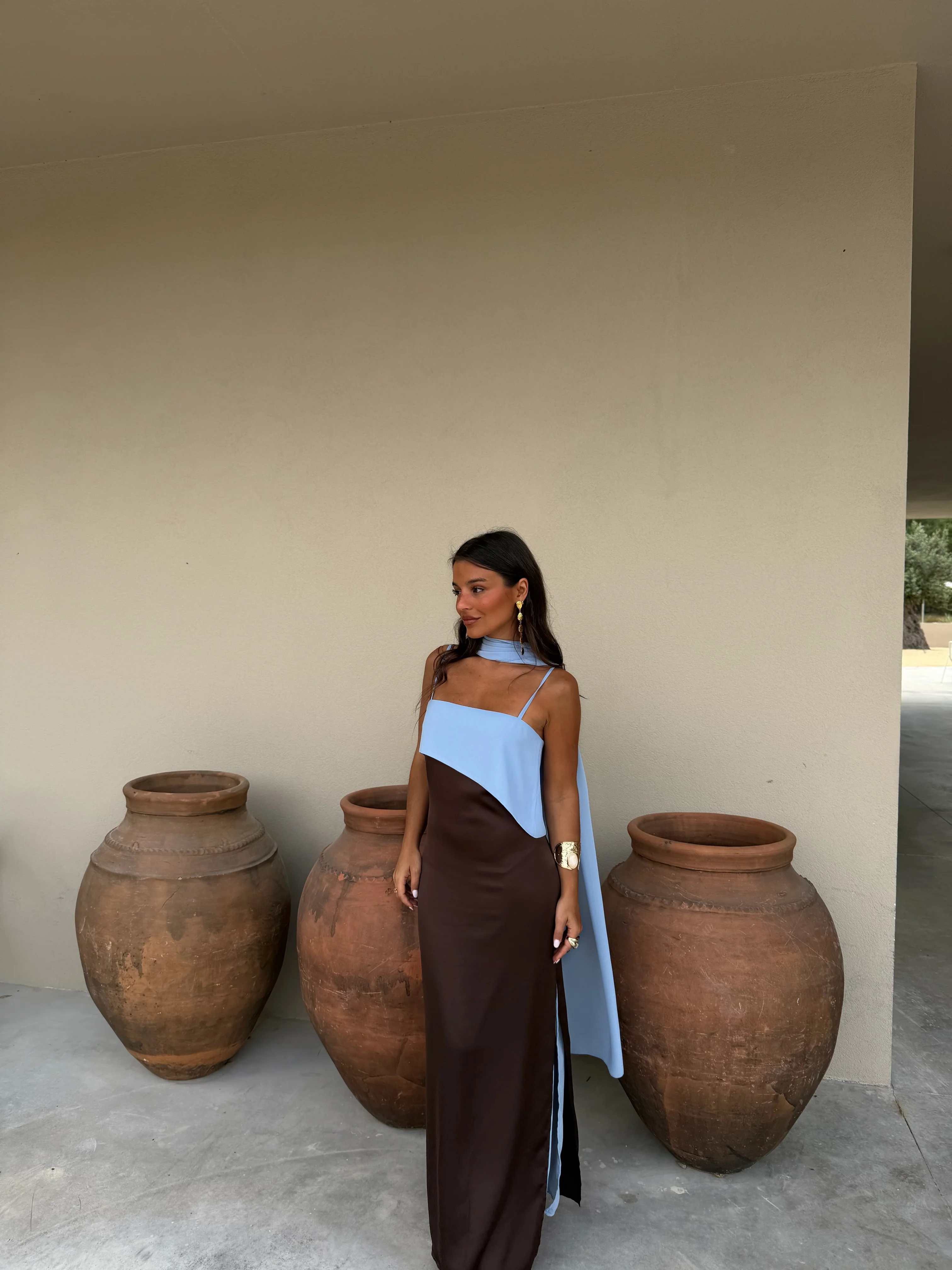 Joanna Dress In Brown and Blue