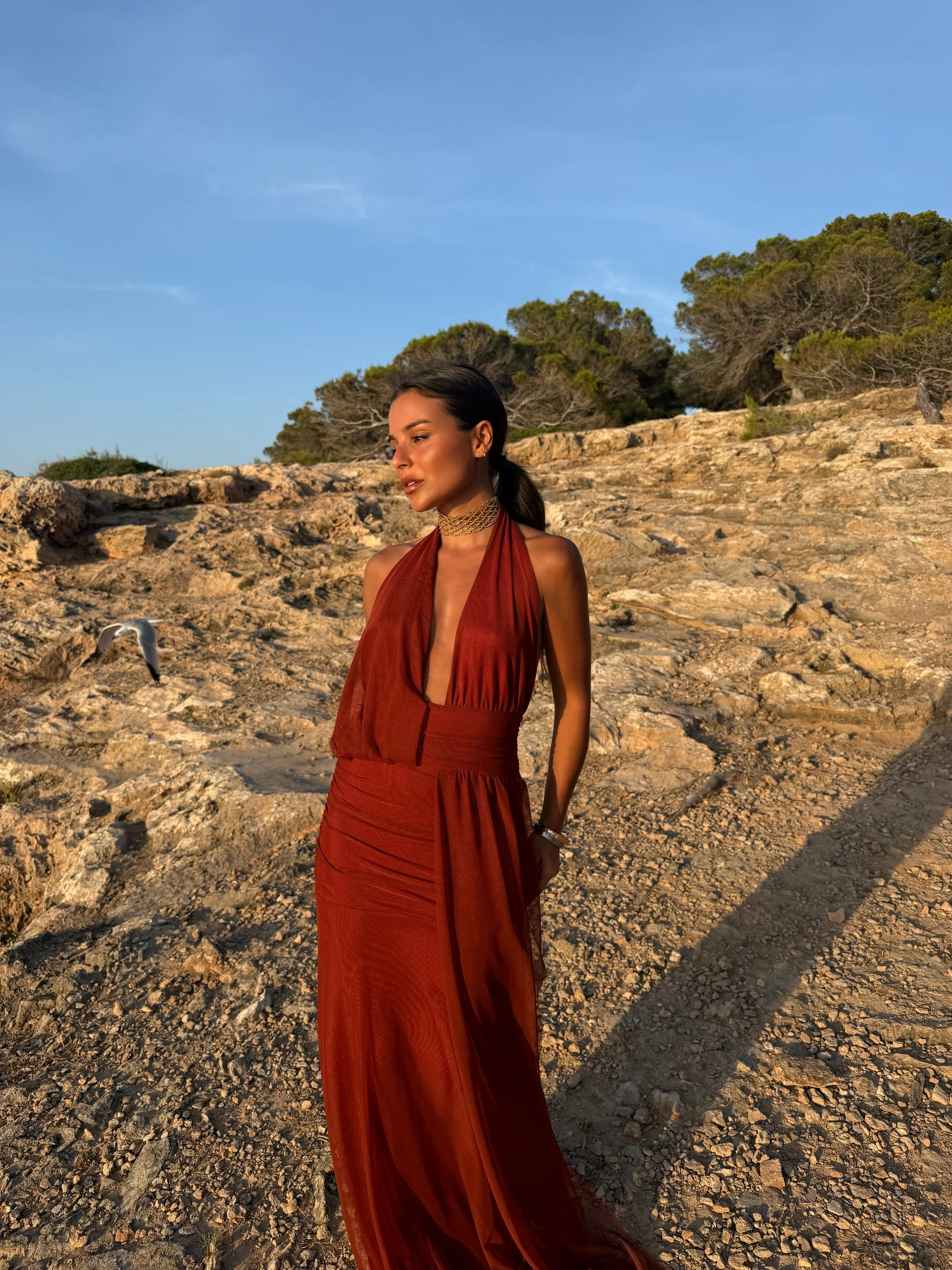 Aina Dress in Terracota - Shipping/Envio from 28/07 to 04/08 - Image 7