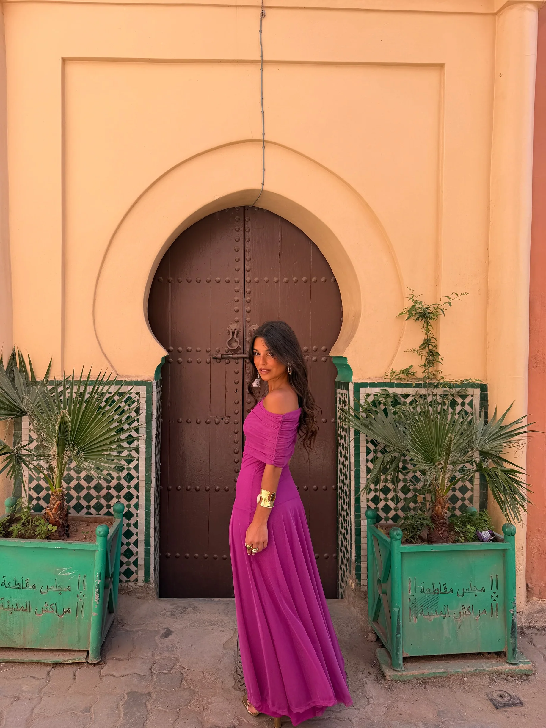 Toledo Dress in Fuxia - Image 6