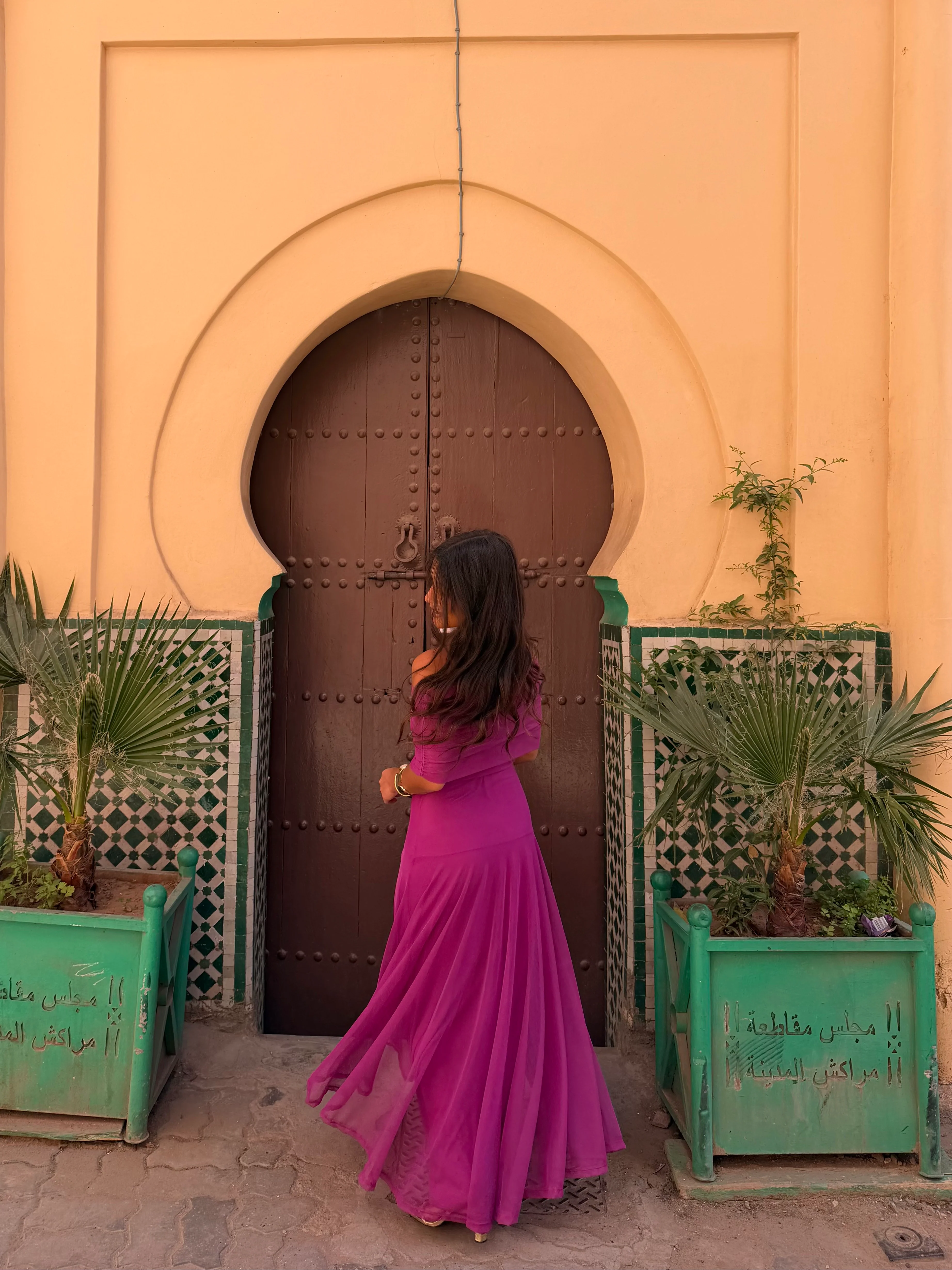 Toledo Dress in Fuxia - Image 8